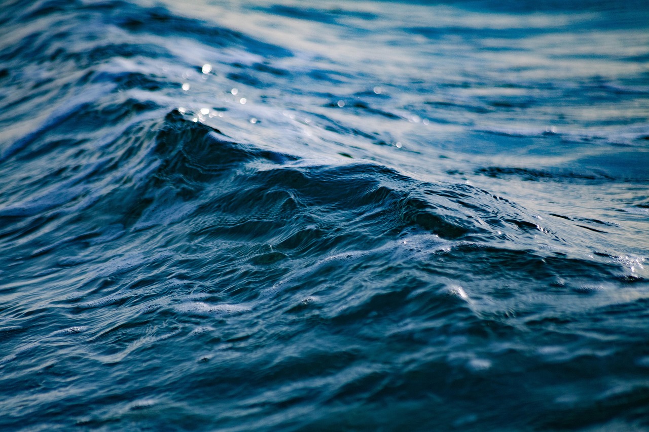 Freshwater 2