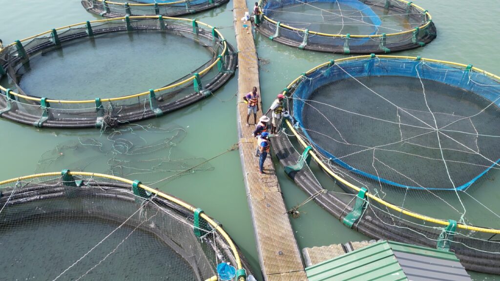 Fish Projact