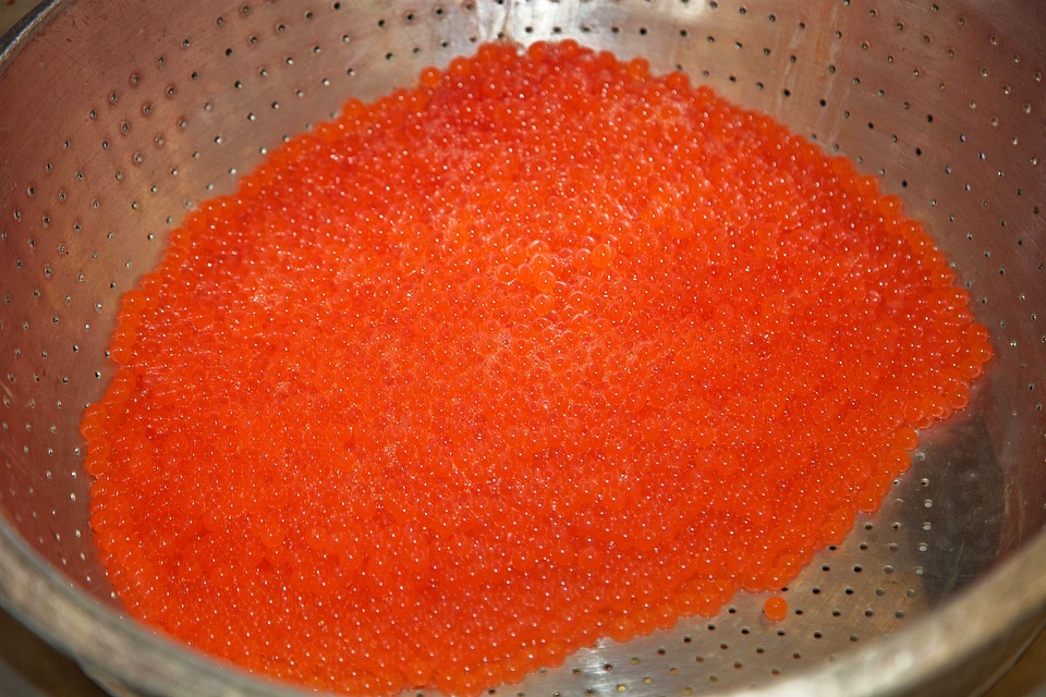 salmon-eggs